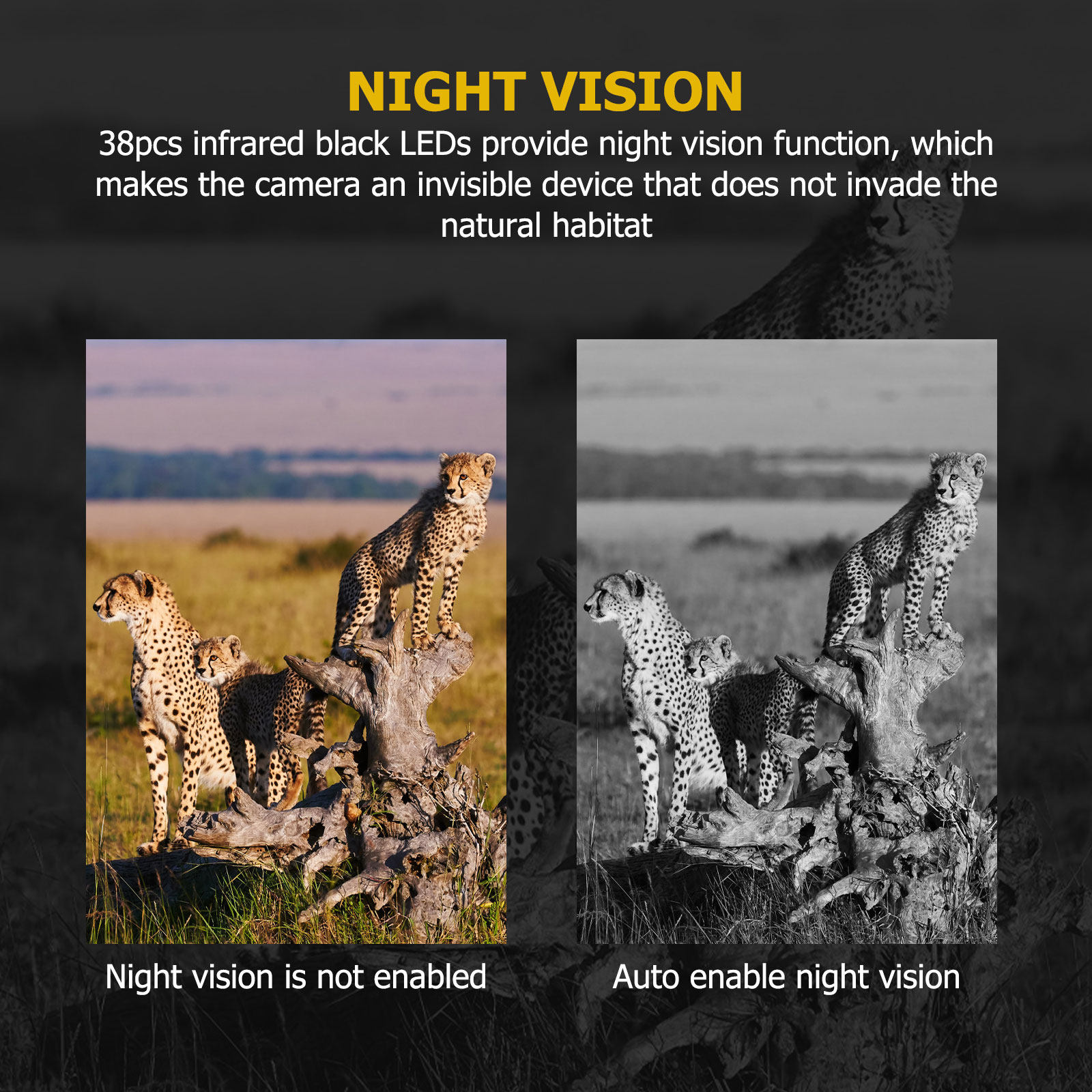 Outdoor Hunting Videos - Hunting Game Camera 12Mp Pir Night