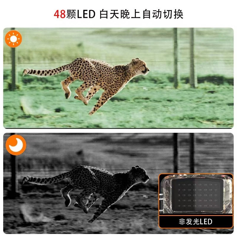 HOT SALE DL001 Hunting Camera  - Outdoor Hunting Videos review and price