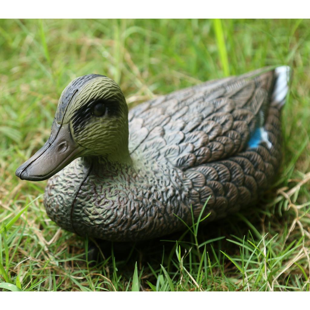 Mandarin Duck Ornaments Realis - Decoy Duck Plastic review and price