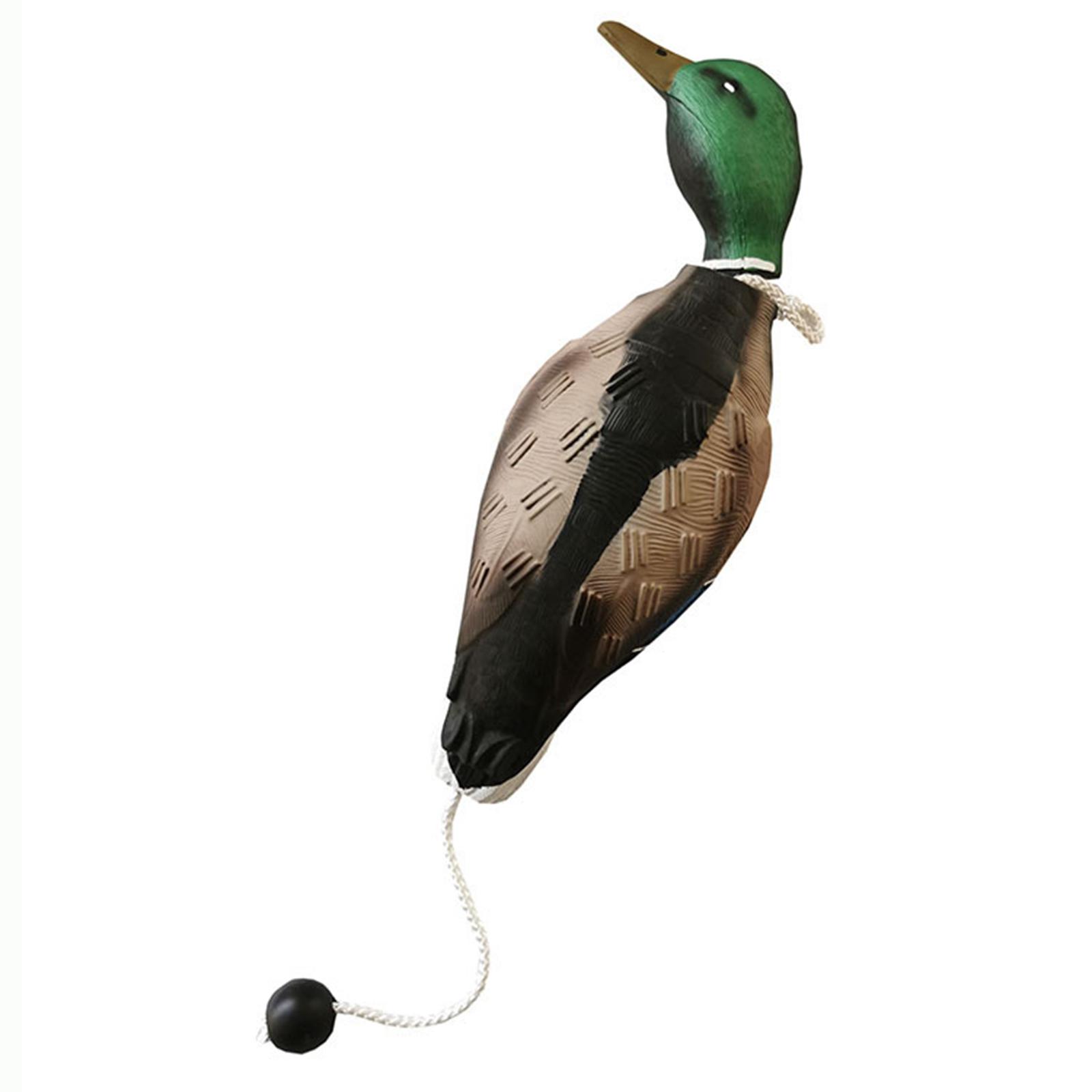 Mallard Duck Decoy Simulation  - Decoy Duck Plastic review and price