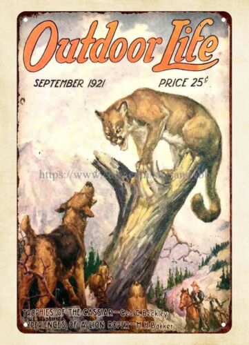 buy wall 1921 OUTDOOR LIFE mag - Hunting Dog Outdoor review and price
