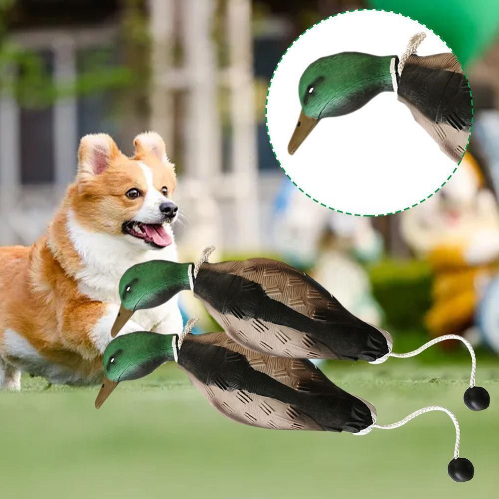 Mallard Duck Decoy Dog Trainin - Decoy Duck Plastic review and price
