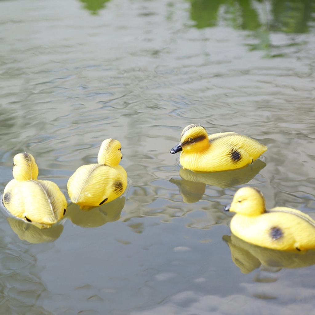 5Pcs Floating Duck Ducklings F - Decoy Duck Plastic review and price